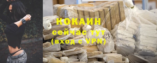 твердый Богданович
