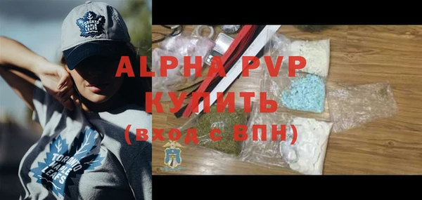 стаф Богородск