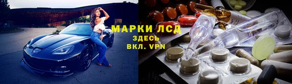 твердый Богданович