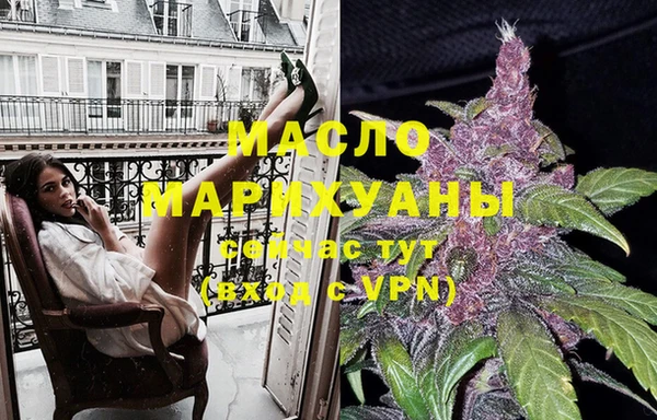 крисы Бородино