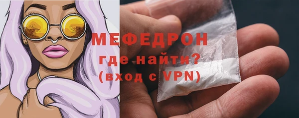 стаф Богородск