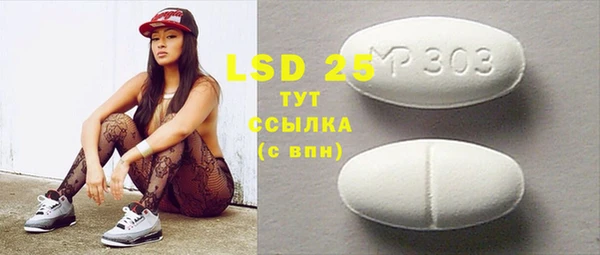 крисы Бородино