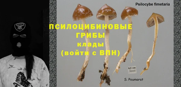 a pvp Богородицк