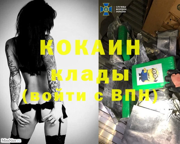 крисы Бородино