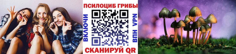 Псилоцибиновые грибы GOLDEN TEACHER  Егорьевск 