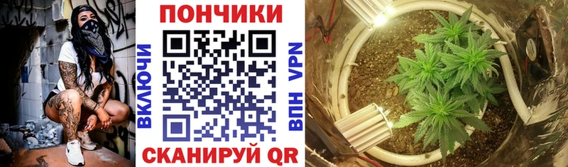 Бошки марихуана OG Kush  Егорьевск 